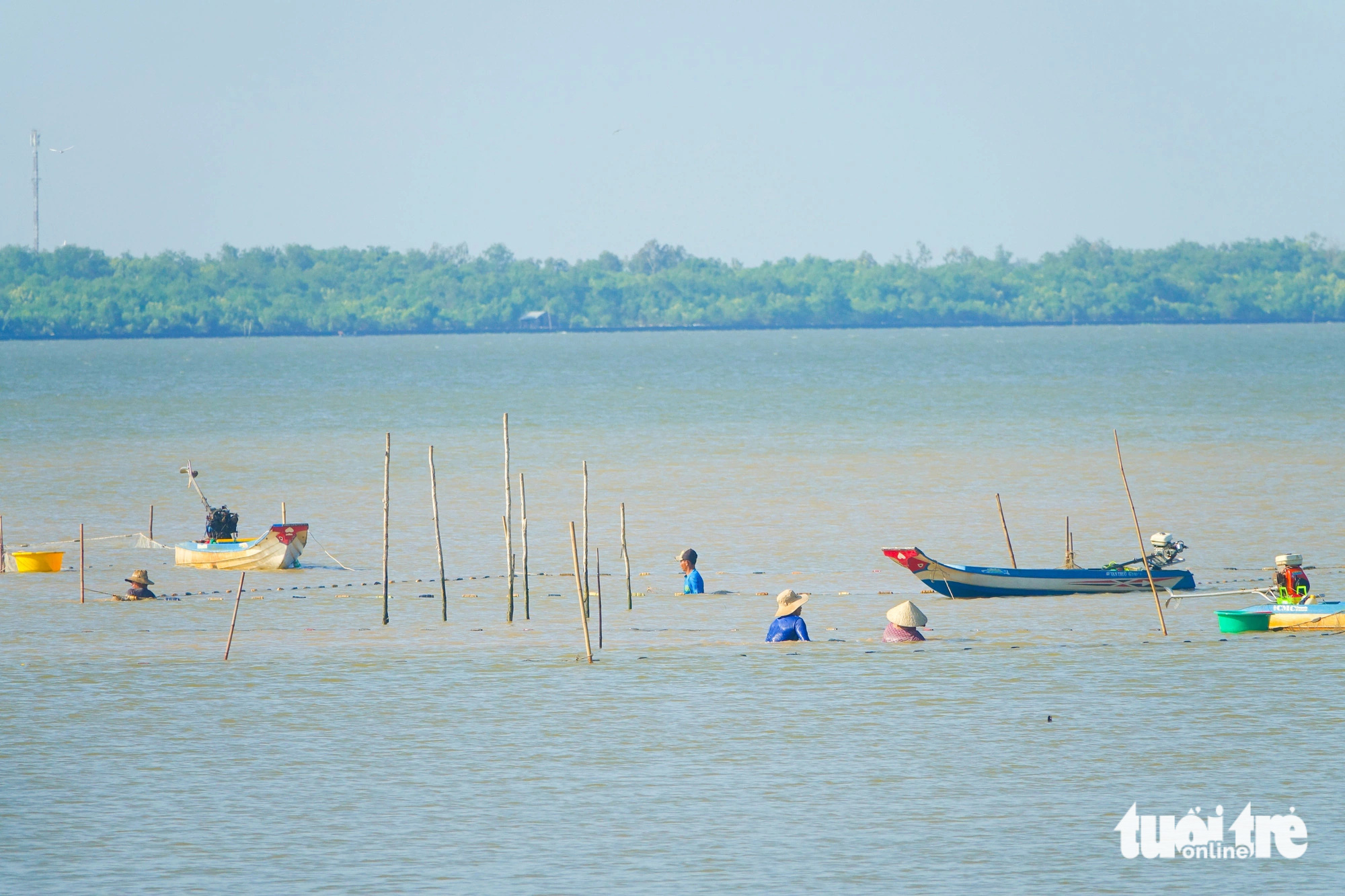 Fishermen cast nets in the sea encroachment area of Rach Gia City, Kien Giang Province, southern Vietnam. Photo: Chi Cong / Tuoi Tre