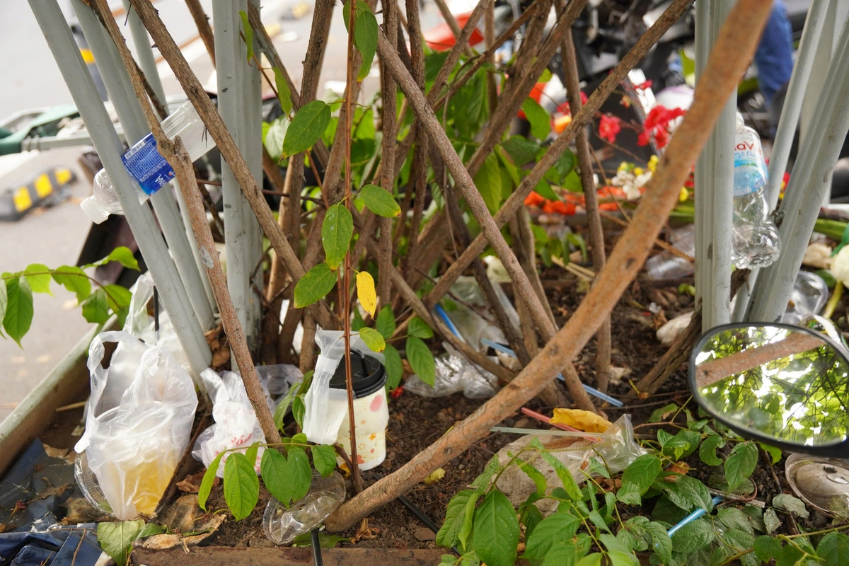 Planters in front of Ben Thanh Market in Ho Chi Minh City are filled with waste. Photo: An Vi / Tuoi Tre