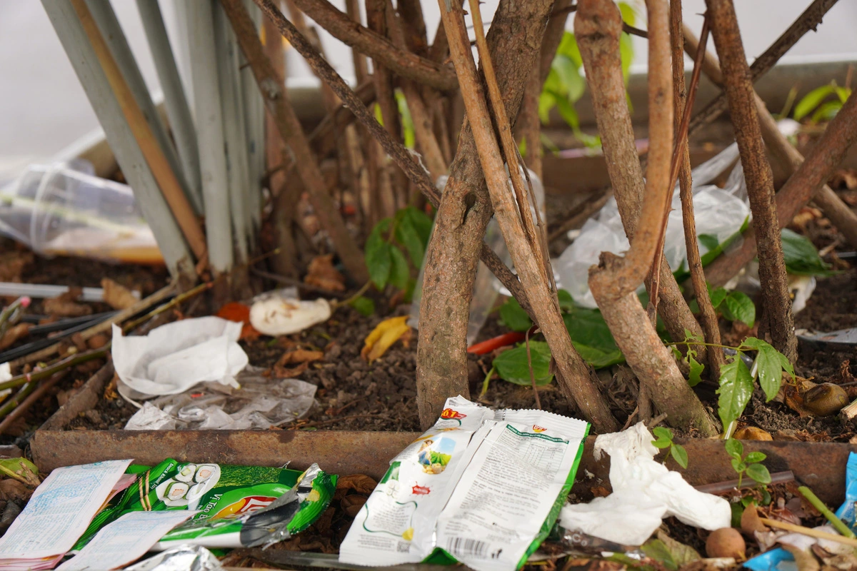 Trash in a planter in front of Ben Thanh Market in Ho Chi Minh City. Photo: An Vi / Tuoi Tre