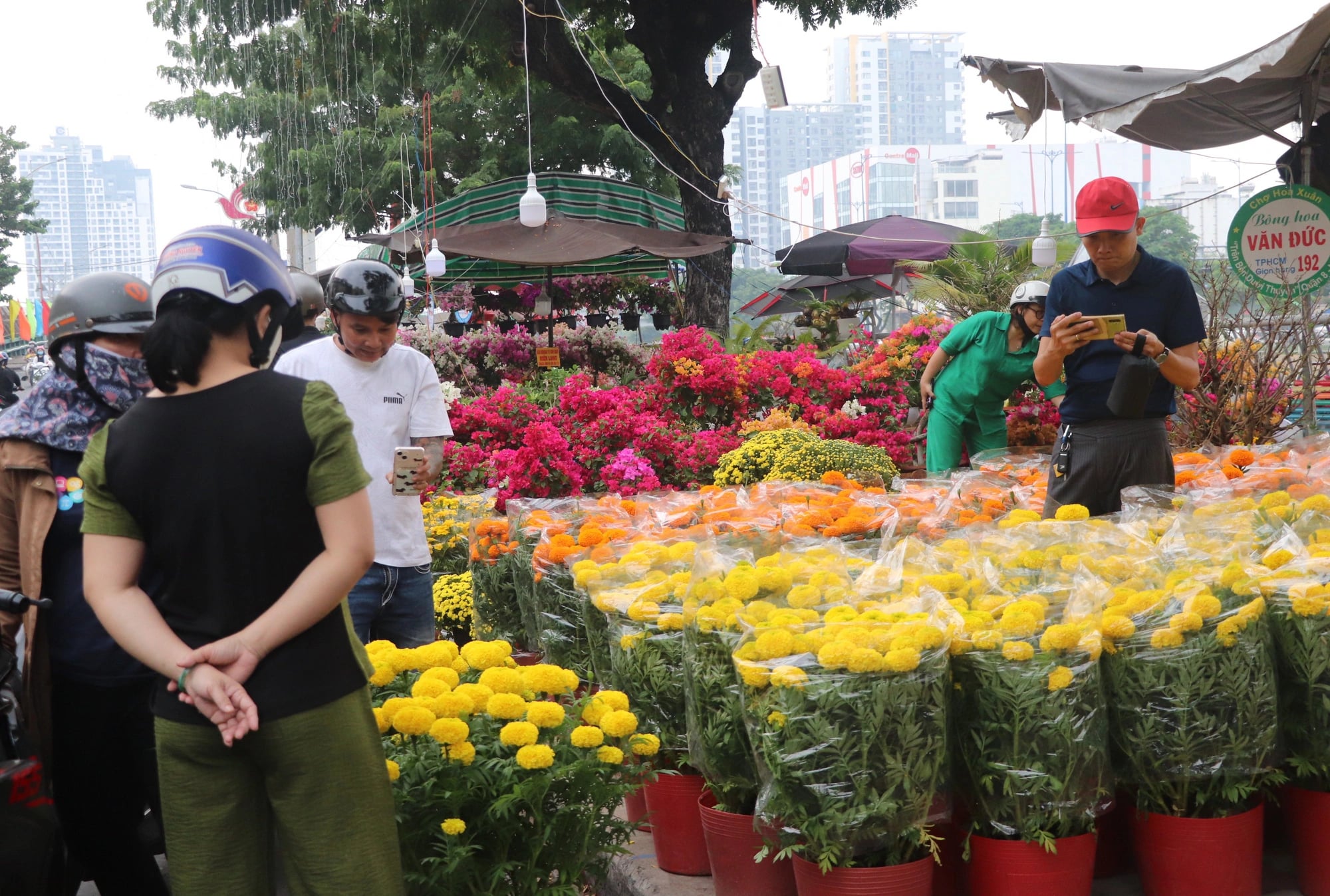 Visitors choose to by chrysanthemums at the 2025 Binh Dong Spring Flower Market in District 8, Ho Chi Minh City. Photo: Hong Phuc / Tuoi Tre