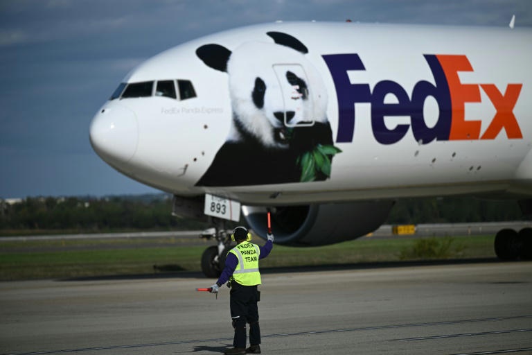 A cargo jet operated by FedEx transporting two giant pandas, lands at Dulles airport in Virginia on October 15, 2024. Photo: AFP