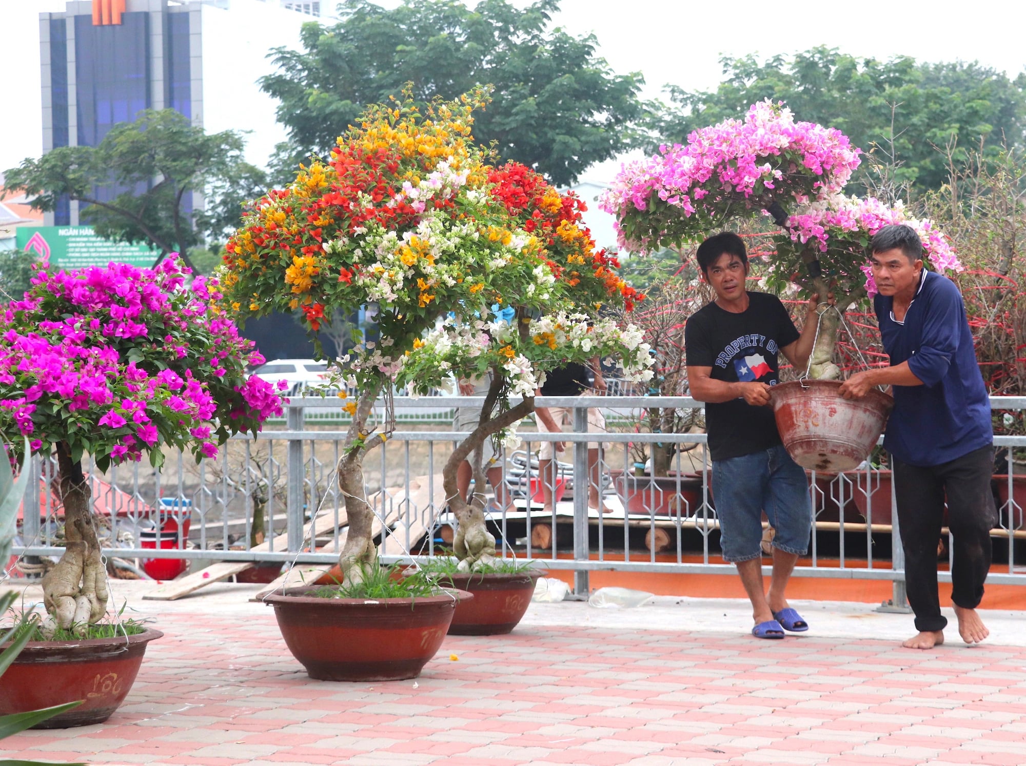 Ho Chi Minh City’s Binh Dong Flower Market offers unique shopping experience along canal