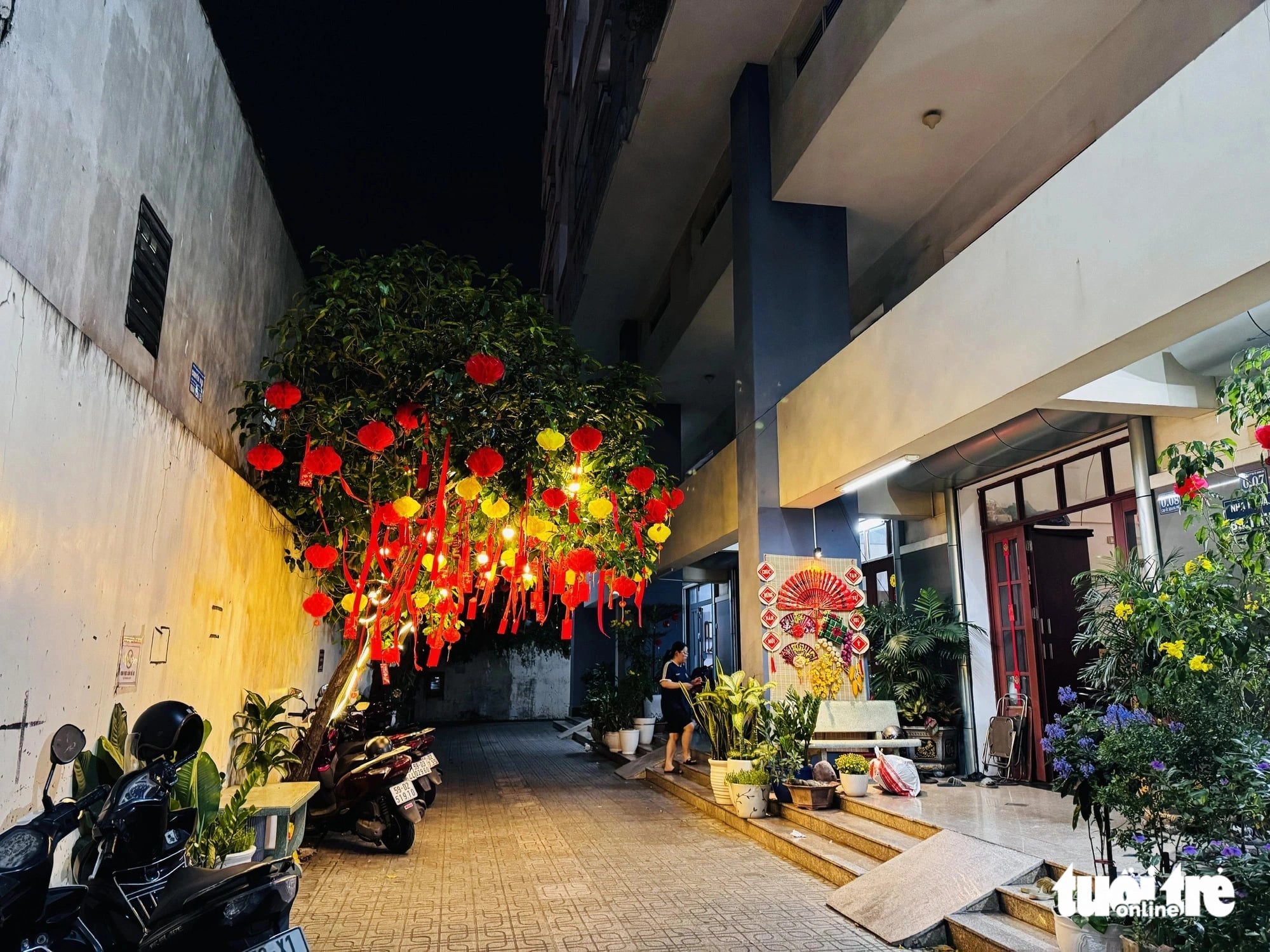 The Tet corner at Nguyen Viet Hoang's house in Khang Phu Apartment, Tan Phu District. Photo: Thanh Hiep / Tuoi Tre