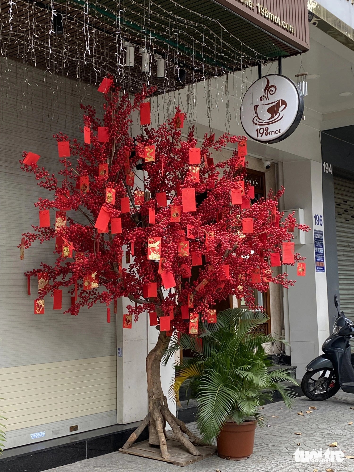 A tree decorated in a Tet theme is placed on the sidewalk on Ba Thang Hai Street, District 10. Photo: The Huy / Tuoi Tre