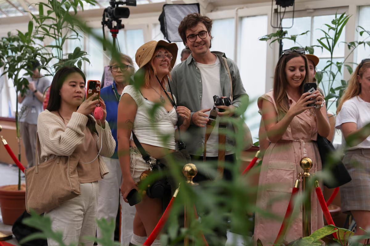 People take photos of the blossoming Bunga Bangkai, nicknamed the 'corpse flower' for its stench, in Sydney, Australia, January 23, 2025. Photo: Reuters