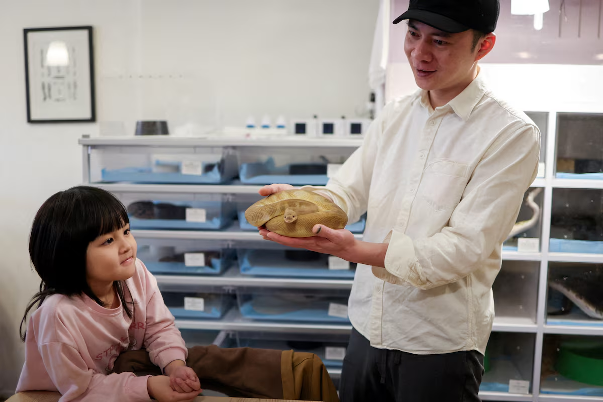 Coffee and snake - Taipei pet shop aims to break down prejudice against the animal