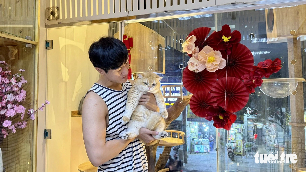 Pet hotels, grooming services thrive ahead of Tet in Ho Chi Minh City