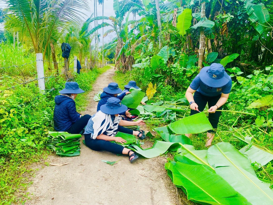 Staff at Boi Com Hoi An Restaurant & Café in Hoi An City, Quang Nam Province, central Vietnam, collect, and prepare banana leaves for wrapping 'banh chung' and 'banh tet.' Photo: Nhan Quy