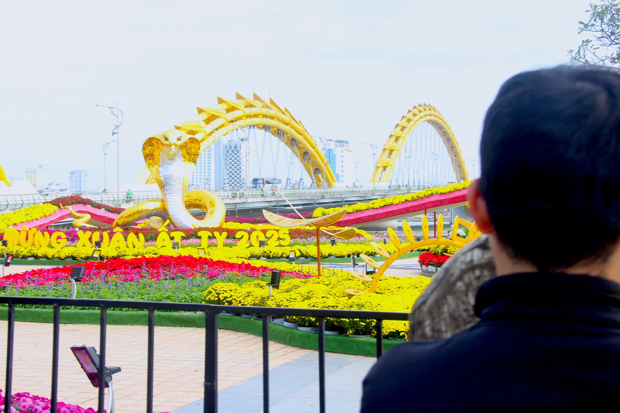 Crowds have gathered at a 2025 Tet flower street ahead of its official opening in Da Nang City, central Vietnam. Photo: Truong Trung / Tuoi Tre