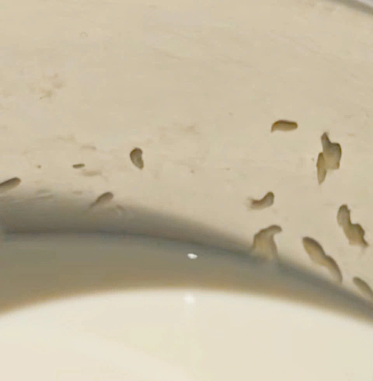 Tourist reports live maggots in milk jug at resort in Vietnam's Khanh Hoa