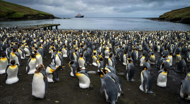 Mega-iceberg drifts towards Antarctic penguin island