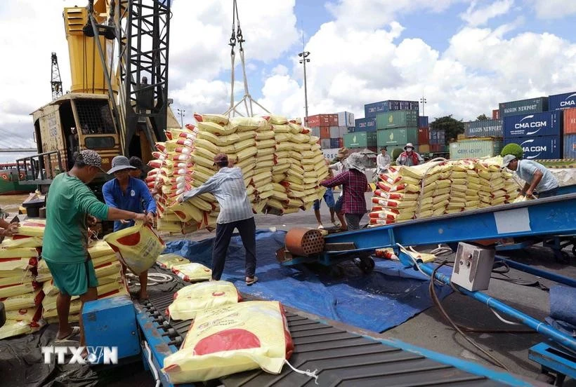 Vietnam’s rice exports surge over 23% despite challenges ahead