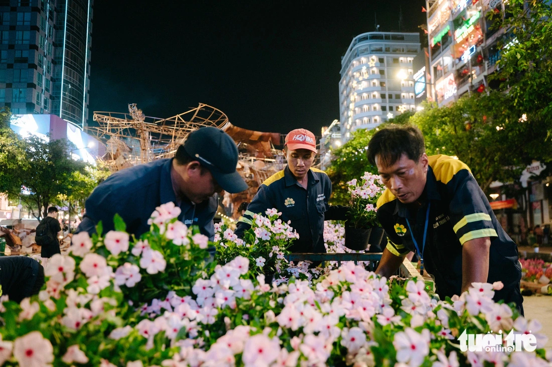 Workers classify fresh flowers for distribution to parks across Ho Chi Minh City. Photo: Thanh Hiep / Tuoi Tre