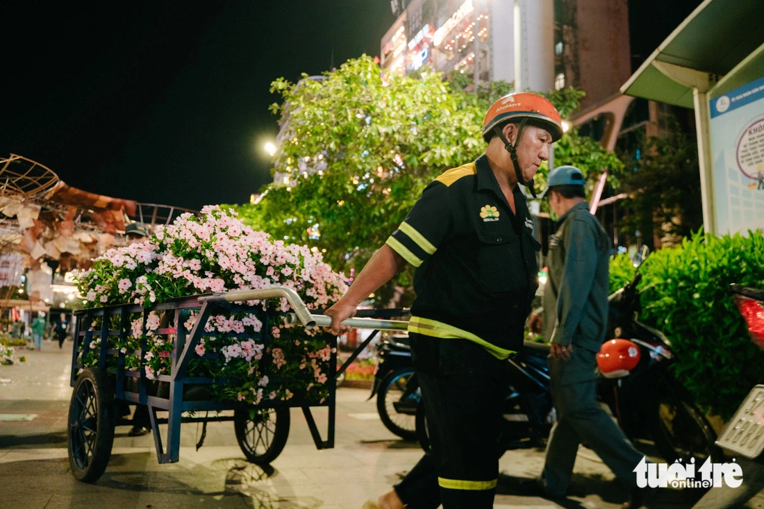 Workers use wheelbarrows to transport fresh flowers to trucks for transport to parks in Ho Chi Minh City for further care. Photo: Thanh Hiep / Tuoi Tre