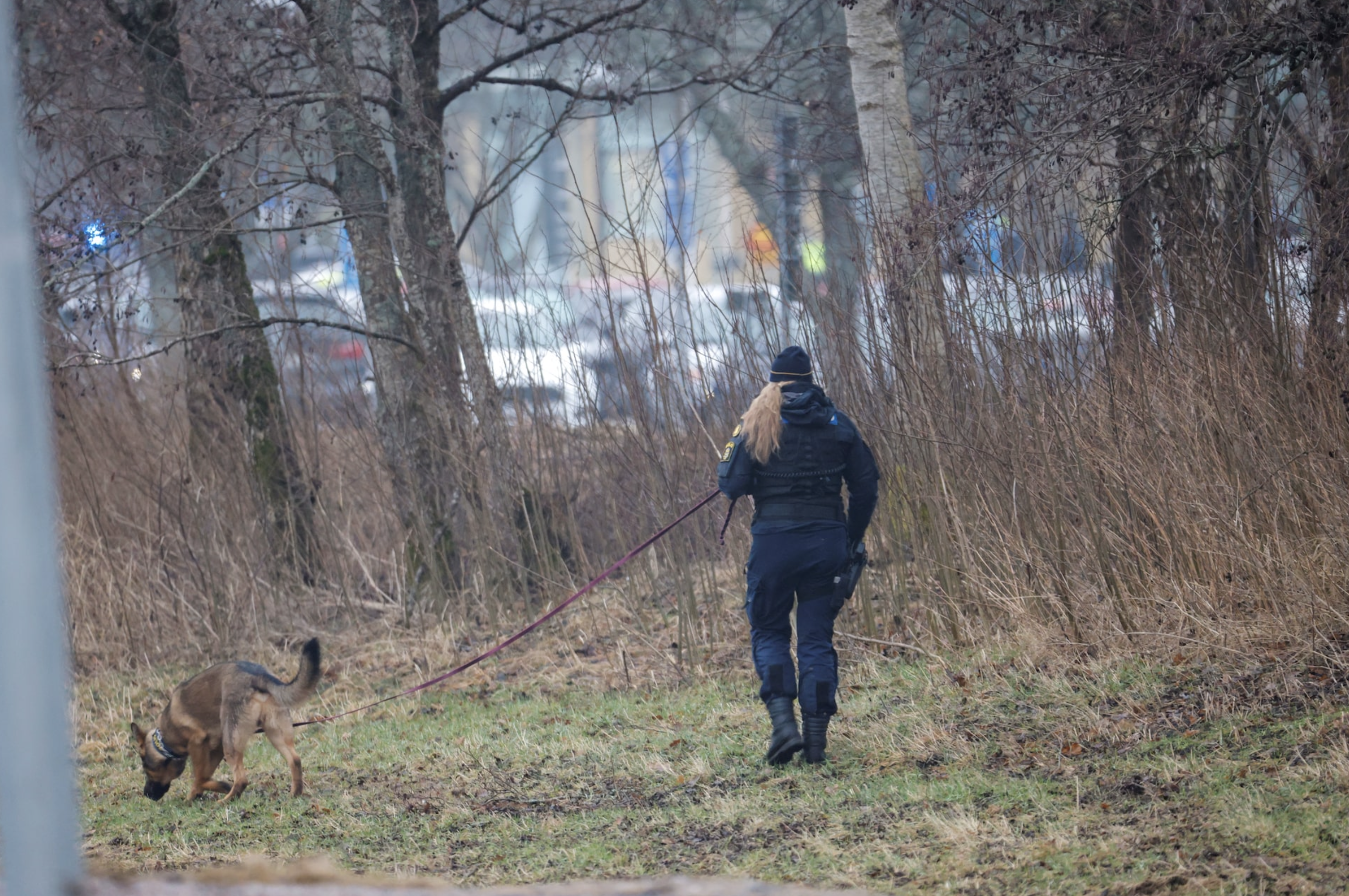 Police search the area after five people were shot at the adult education center Campus Risbergska school in Orebro, Sweden, February 4, 2025. Photo: Reuters