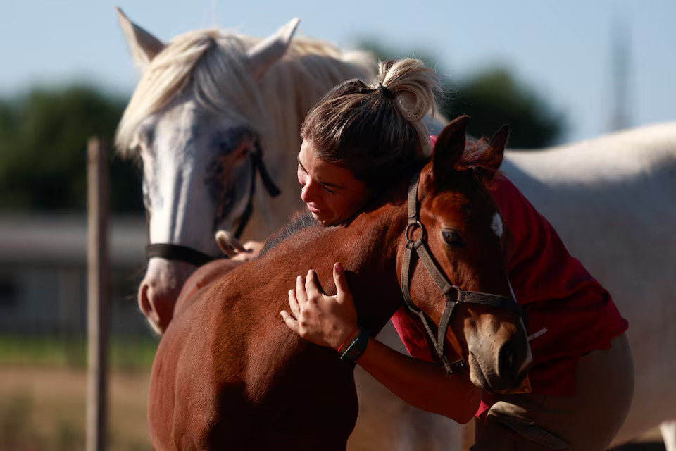 [2/6]Veterinary resident Jaklim Leguizamon hugs a genetically modified polo horse in San Antonio de Areco, on the outskirts of Buenos Aires, Argentina January 30, 2025. Photo: Reuters