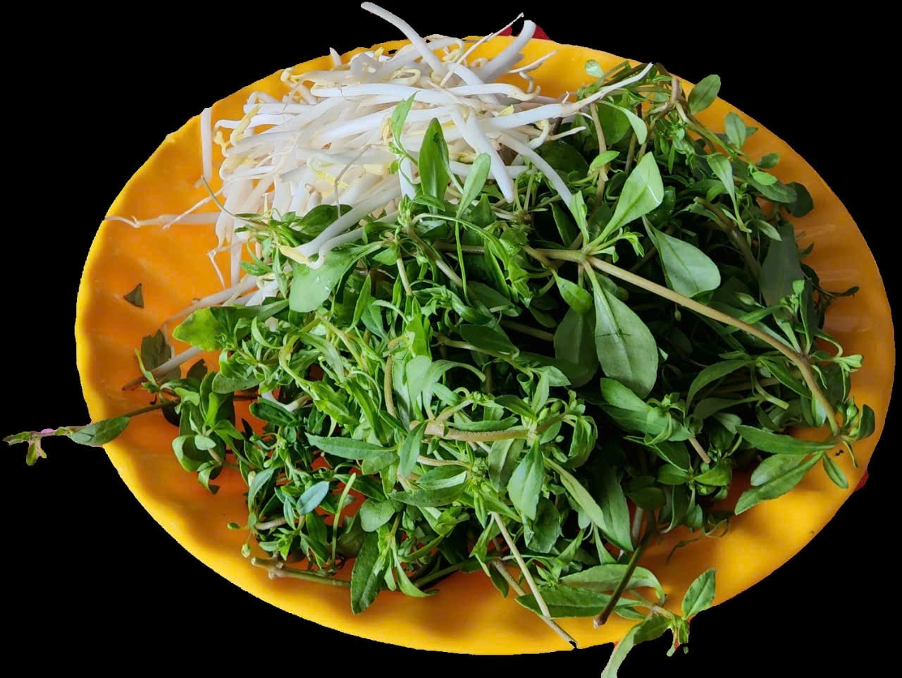 A plate of ‘rau đắng đất’ and mung bean sprout is served along the congee. Photo: Son Lam / Tuoi Tre