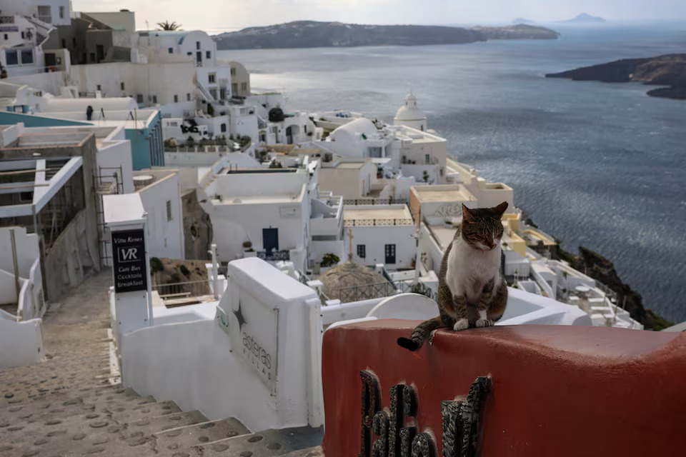 [7/9]A cat sits at the village of Fira, as the increased seismic activity continues on the island of Santorini, Greece, February 7, 2025. Photo: Reuters