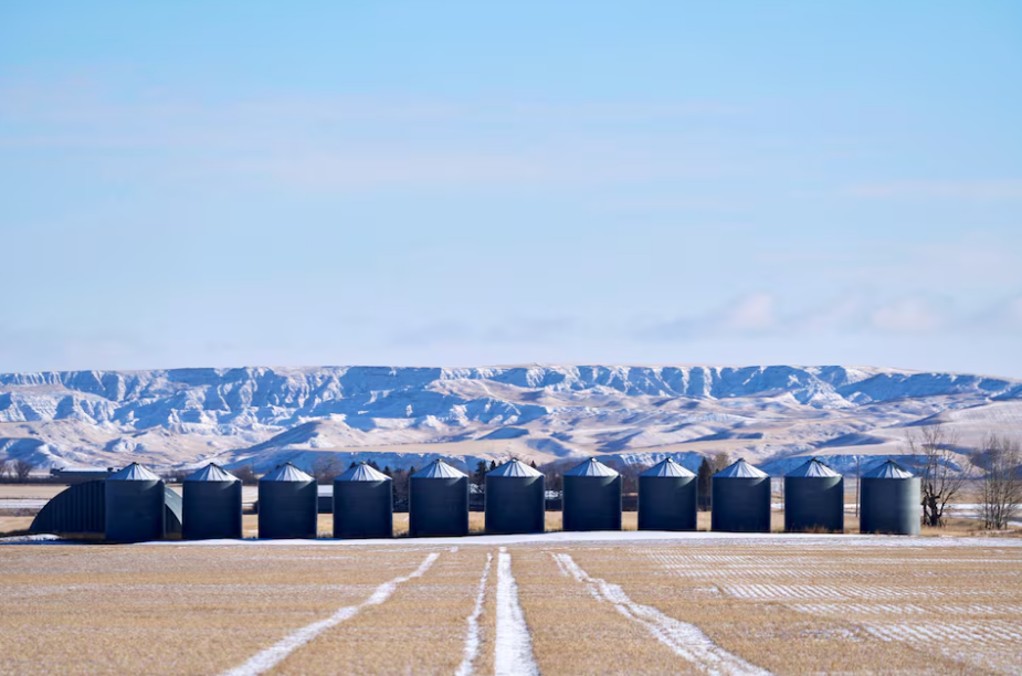 A view of farmers' grain storage bins in a field near Claresholm, Alberta, Canada January 18, 2025. Photo: Reuters