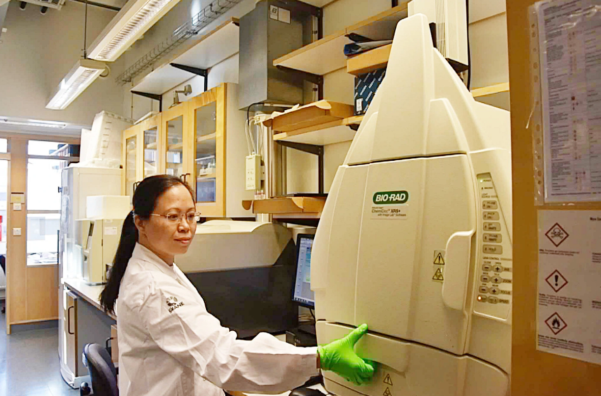 Vietnamese doctor researches breast milk-based cancer treatment