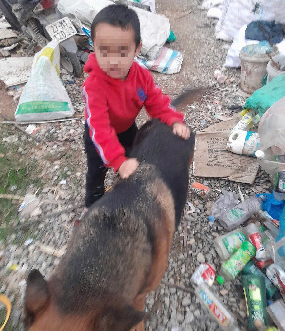 The dog and his little owner. Photo: D.B. / Tuoi Tre