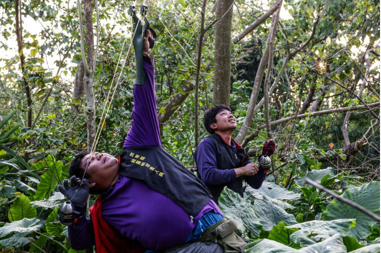 Hunter Wu Cheng-hua aims his slingshot at an iguana in a tree in Pingtung.