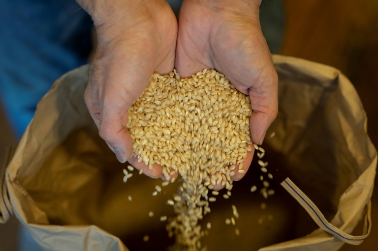 Japan to release emergency rice reserves to fight runaway inflation