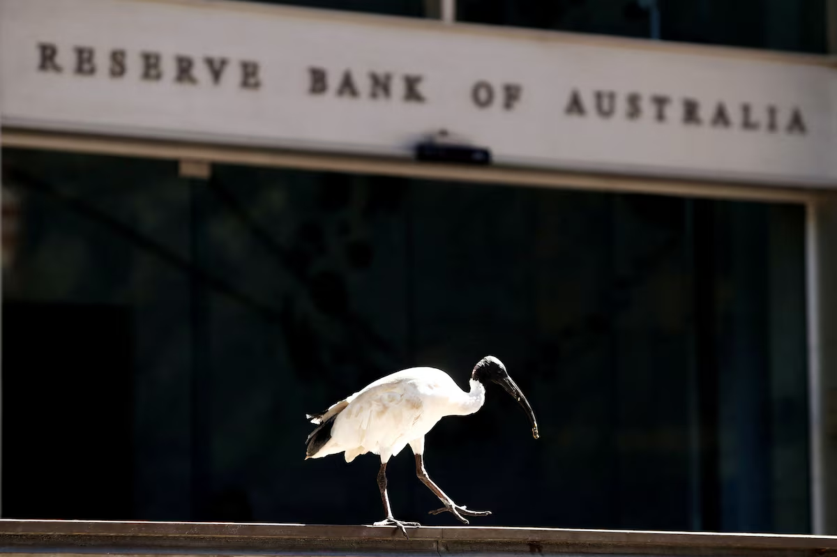 An ibis bird perches next to the Reserve Bank of Australia headquarters in central Sydney, Australia February 6, 2018. Photo: Reuters