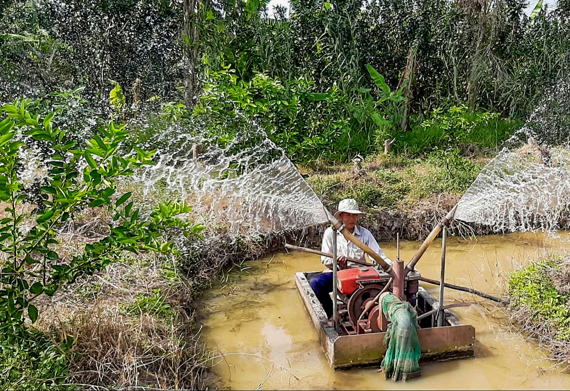 Vietnamese gov’t orders urgent response to peak saltwater intrusion in Mekong Delta, Ho Chi Minh City