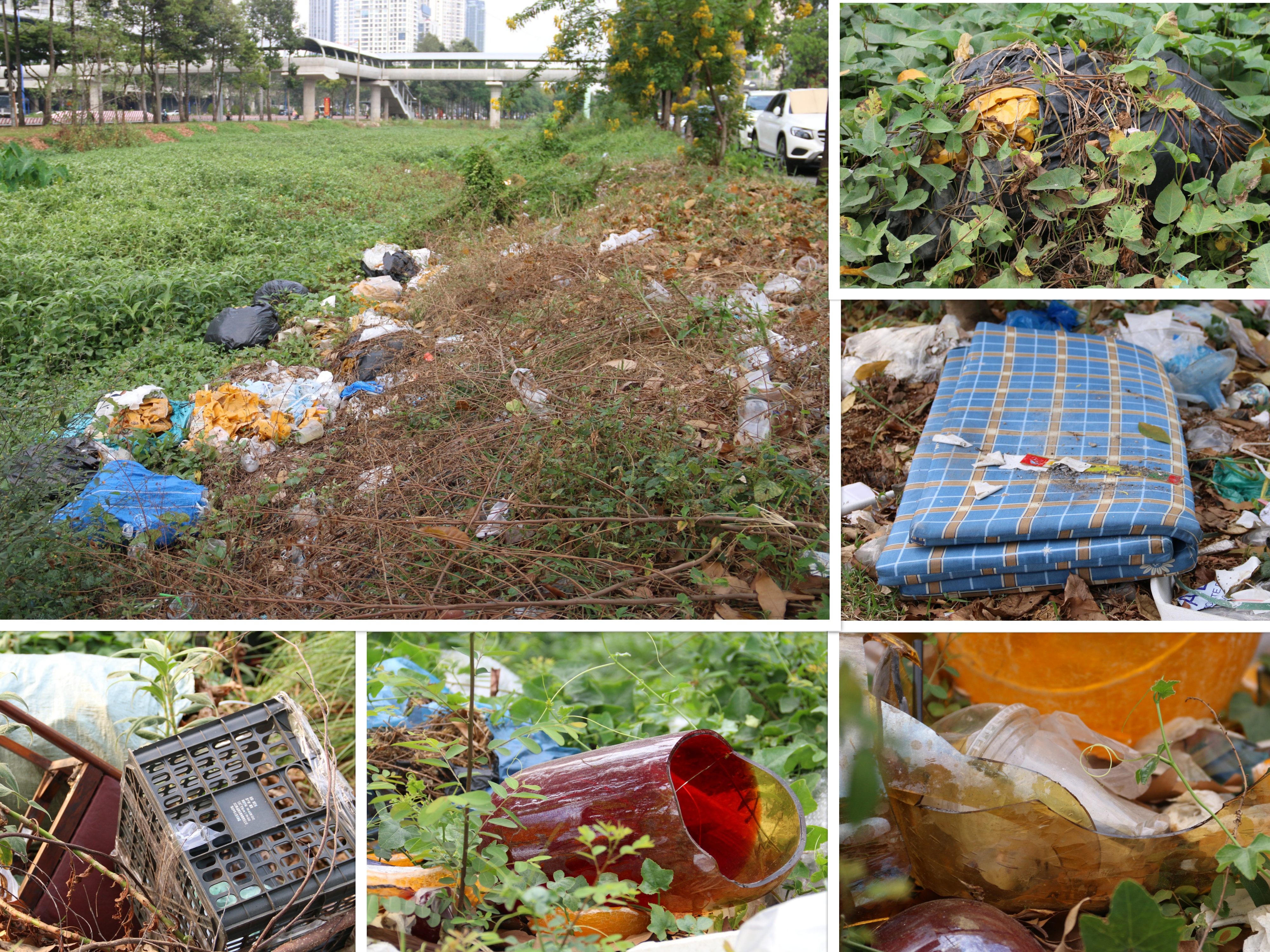 Household trash is scattered among the lush vegetation of the Da Do canal, which runs alongside Song Hanh Street connecting An Phu and Thao Dien metro stations in Thu Duc City, Ho Chi Minh City. Photo: Bui Nhi / Tuoi Tre