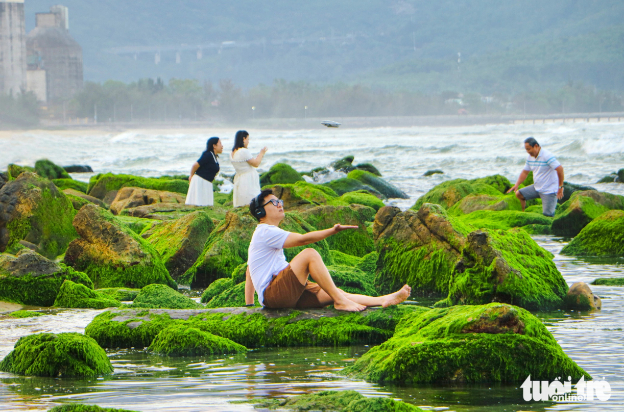 The beauty of green moss-covered rocks along Nam O Beach in Da Nang, central Vietnam captivates tourists. Photo: Thanh Nguyen / Tuoi Tre