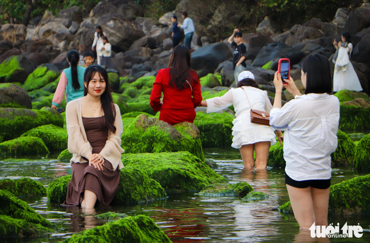 Tourists eagerly pose for photos with moss-covered rocks along Nam O Beach in Da Nang. Photo: Thanh Nguyen / Tuoi Tre