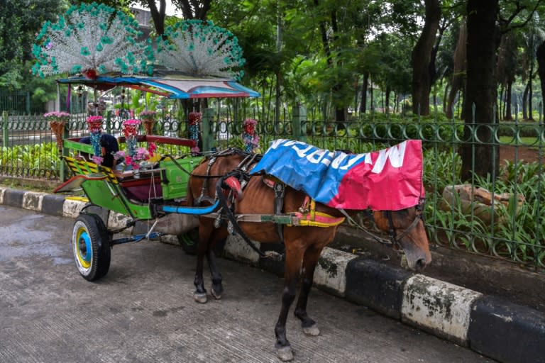 The last carriage horses of Indonesia's capital endure harsh lives