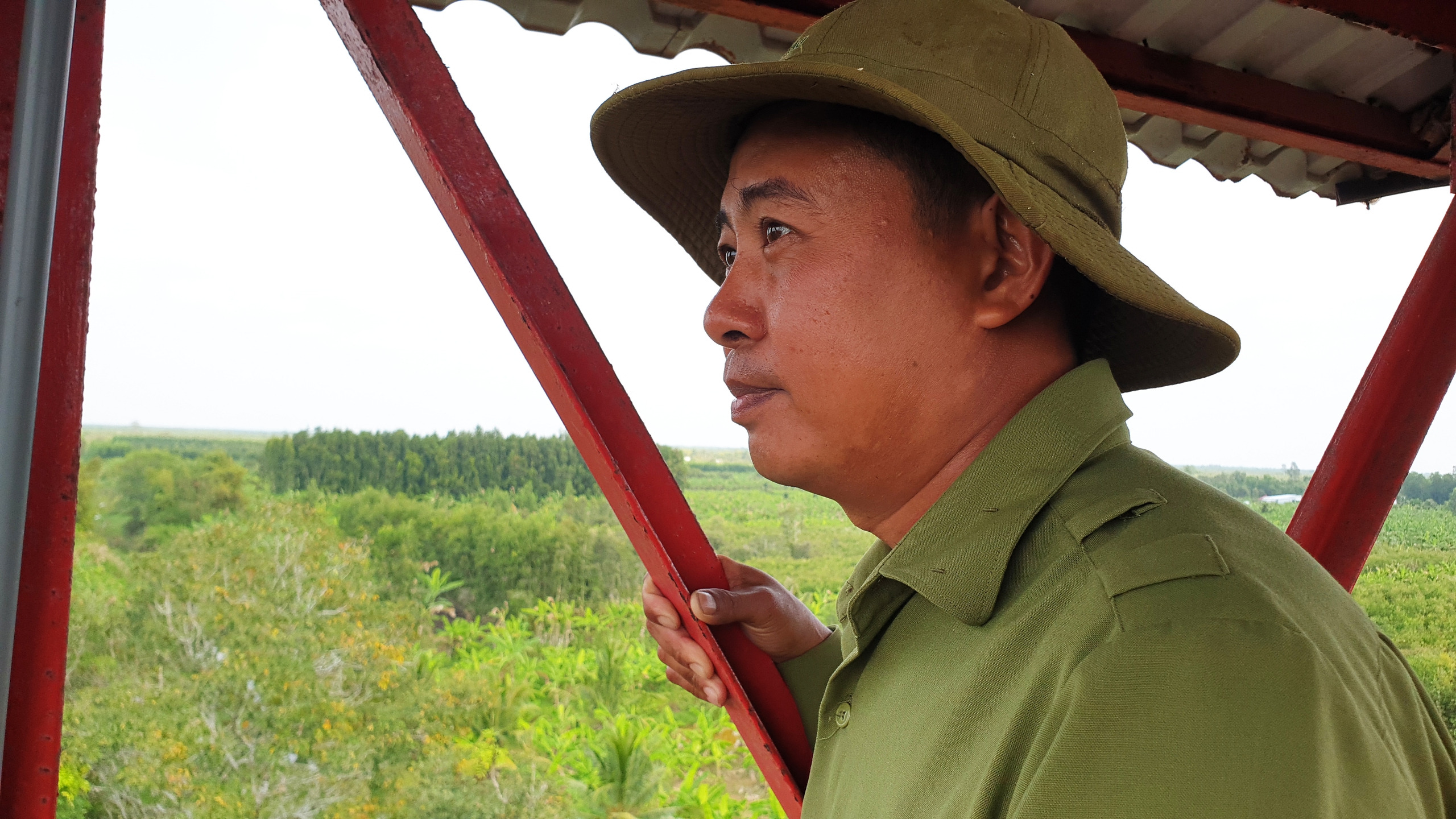 Every day, forest rangers climb fire lookout towers, tens of meters high, to monitor and detect wildfires early. Photo: Thanh Huyen / Tuoi Tre