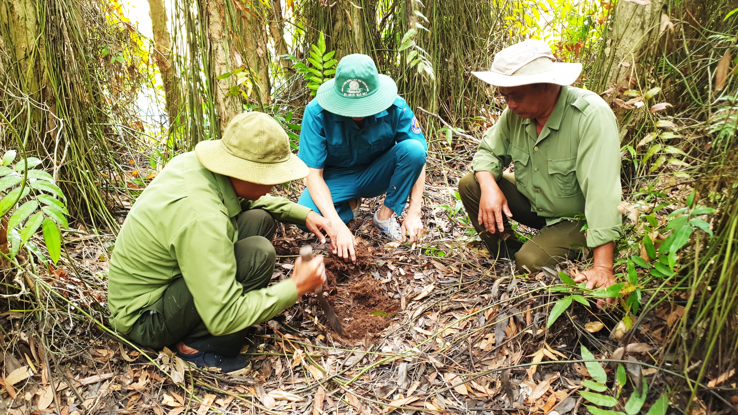 Vietnam’s Ca Mau builds firebreaks to prevent wildfires in dry season