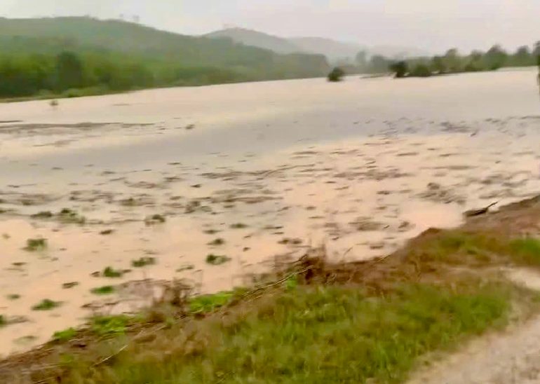 A screenshot from a resident’s video shows inundated cassava farms in My Thanh Village, Hoa My Tay Commune, Tay Hoa District, Phu Yen Province.