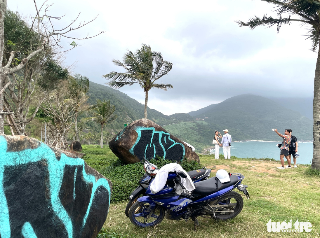 Tourists outraged by vandalism on Da Nang’s Son Tra Peninsula