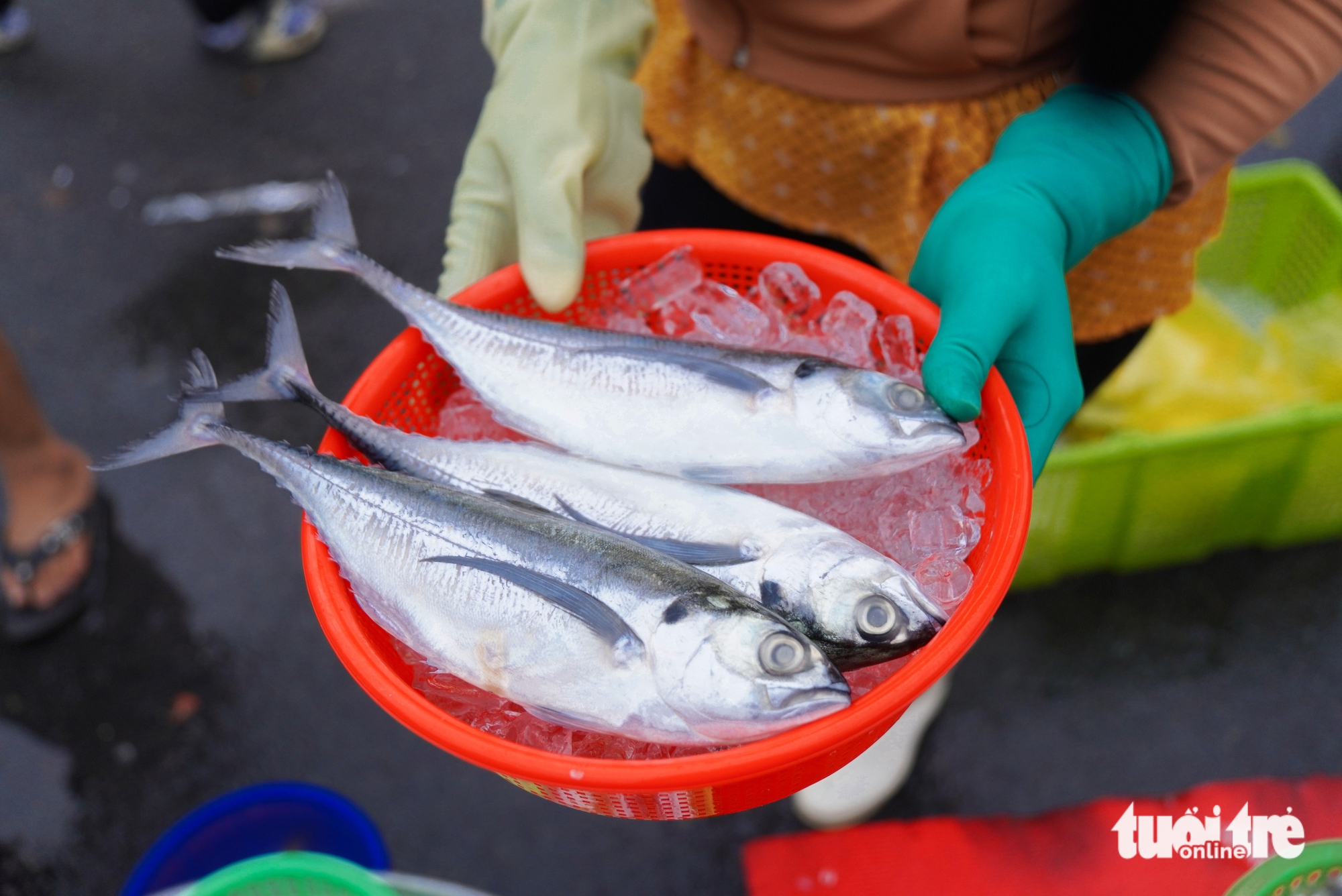 A vendor sells fish in small baskets at Tan Tao makeshift market in Tan Tao Ward, Tan Binh District, Ho Chi Minh City. Photo: An Vi / Tuoi Tre