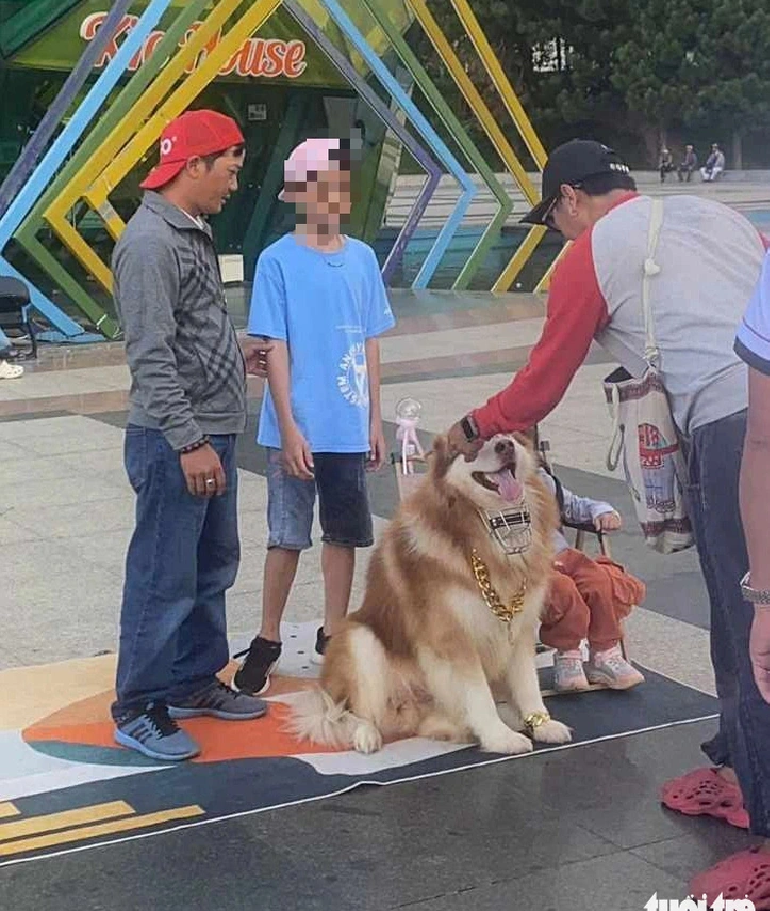 Lam Vien Square in Da Lat City was occupied for paid photo service with pets in July 2024. Photo: L.A. / Tuoi Tre