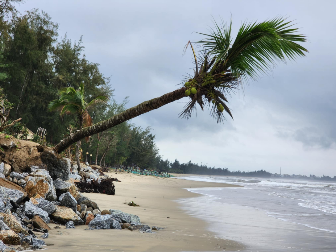 My Khe beach in central Vietnam faces severe erosion, risk of disappearing