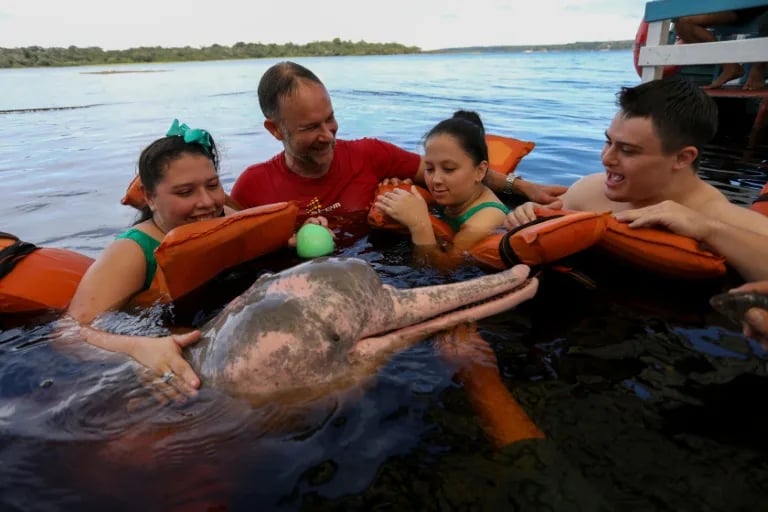 In Brazil's Amazon, dolphin therapy aids people with disabilities