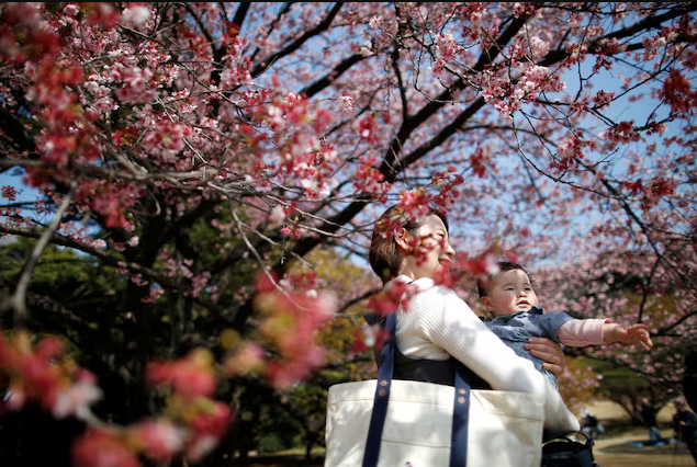 Japan's births fell to record low in 2024