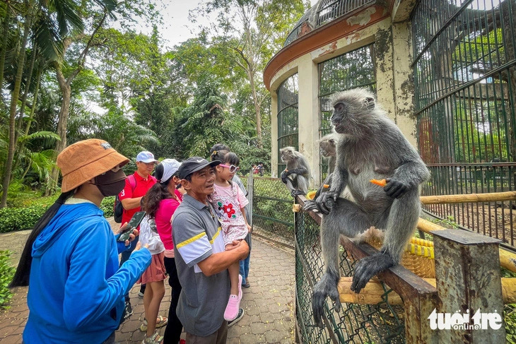 Saigon Zoo gives 50% ticket discount for guests wearing ‘ao dai’ in March