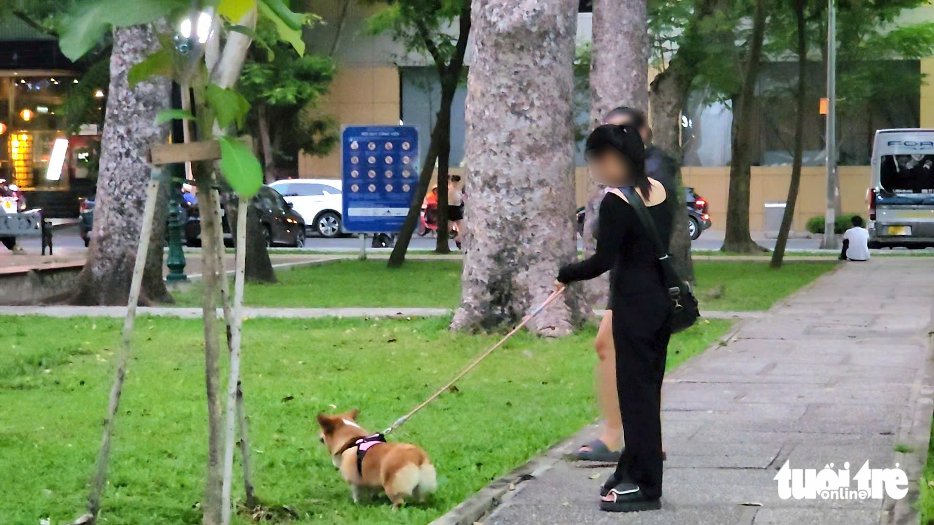 A person walks a dog in 23/9 Park in District 1, Ho Chi Minh City, February 27, 2025. Photo: Ngoc Khai / Tuoi Tre