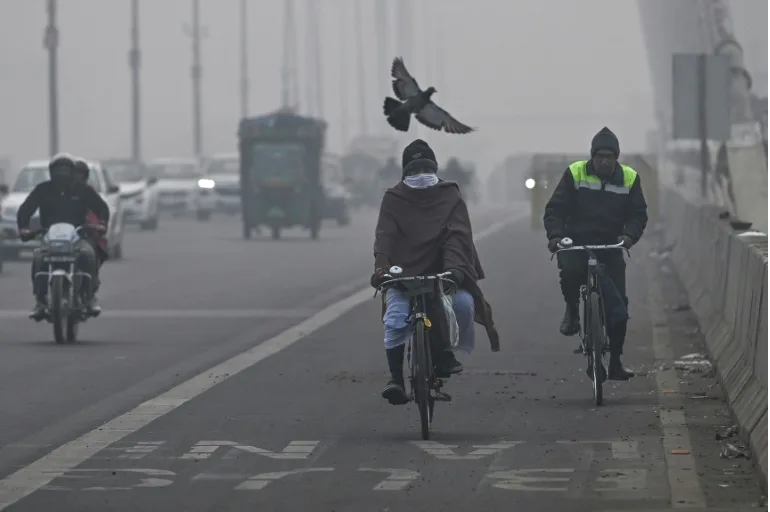 Delhi bans old cars from refuelling to help tackle city's pollution