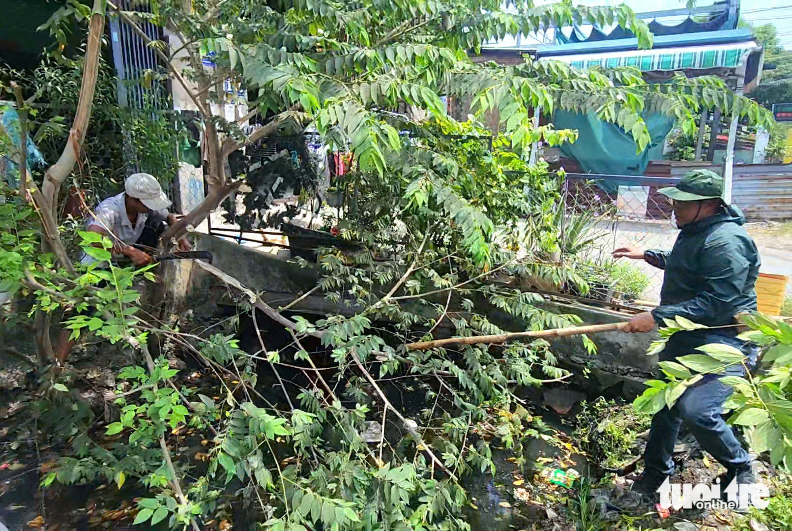 Members of the cleanup team removed vegetation and trimmed branches that had fallen into the canal. Photo: Ngoc Khai / Tuoi Tre