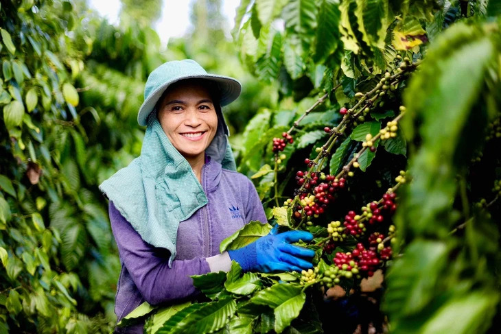 Vietnam strives for $70bn in agroforestry, fisheries exports in 2025