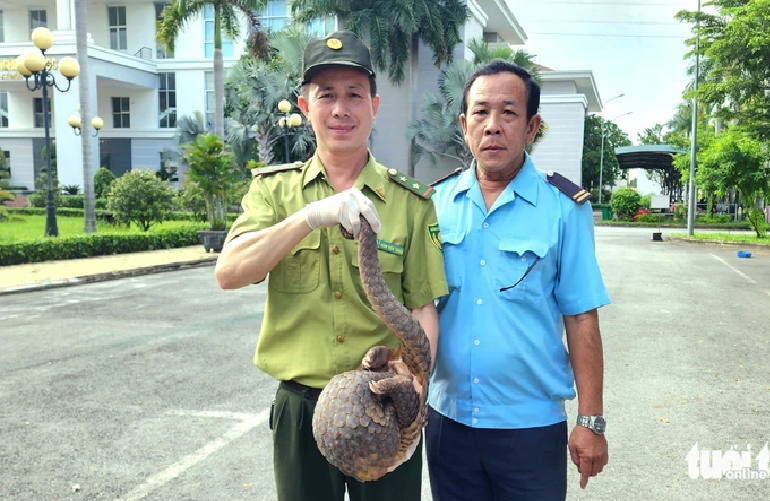 42 wild animals released back to nature in Vietnam