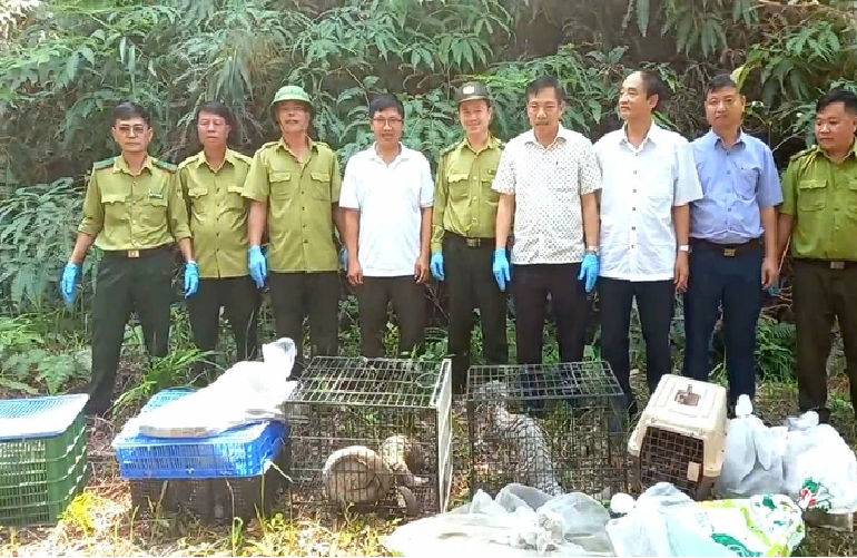 A screenshot from a video provided by the Ho Chi Minh City Forest Protection Department shows representatives from the department and the Chu Yang Sin National Park releasing wild animals back to nature in the Chu Yang Sin National Park in Dak Lak Province.