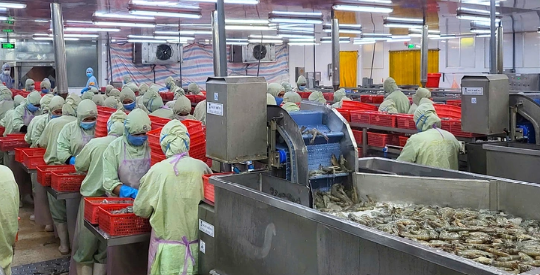 Global trade tensions: Vietnamese wood industry faces challenges, seafood, fruit firms see opportunities